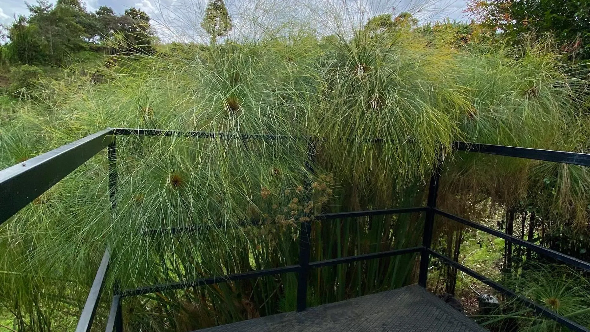 Chalets De Lujo En Guarne Para 2 O 3 Personas Holiday home